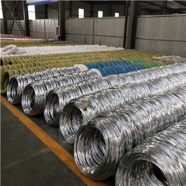 IMG_20180704_095502.jpg IMG_20180704_095502.jpg